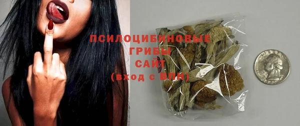 дживик Богородицк
