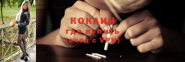 дживик Богородск