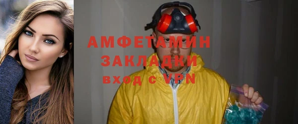 дживик Богородицк