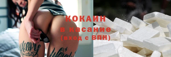 дживик Богородицк