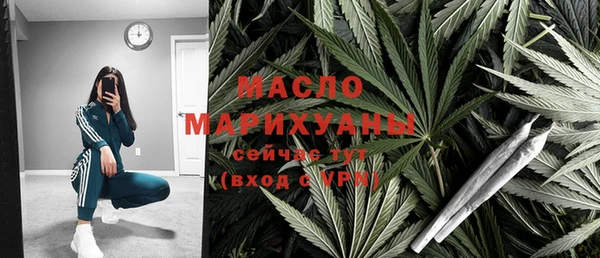 дживик Богородицк
