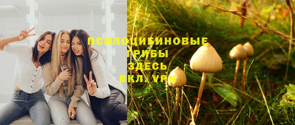 дживик Богородицк