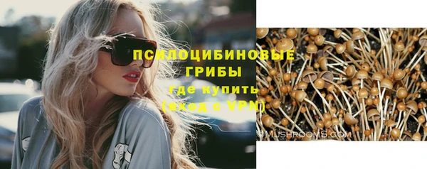 мяу мяу мука Богданович