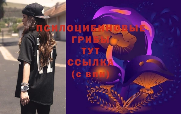мяу мяу мука Богданович