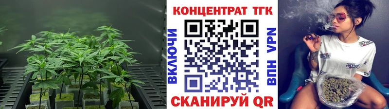Купить закладки  Чухлома  ТГК концентрат 