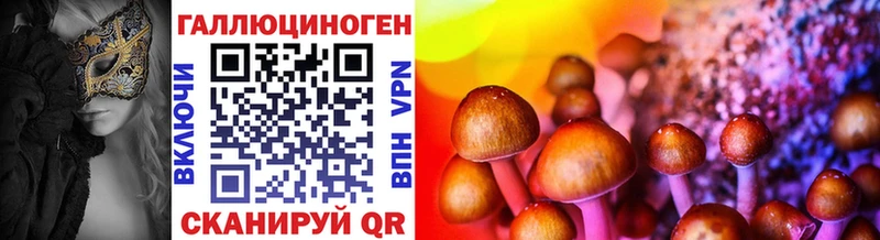Купить где  Чухлома  Галлюциногенные грибы мицелий 